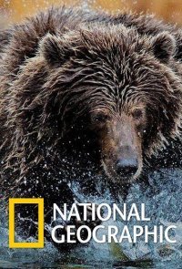 National Geographic. Империя гризли