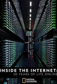 Как устроен интернет. 50 лет онлайн