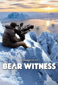 Наблюдение за медведем