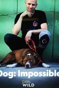 Собака: Невозможное возможно