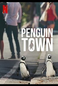 Город пингвинов