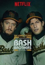 Неизвестный случай с братьями Баш