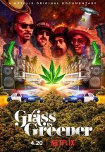 Трава зеленее