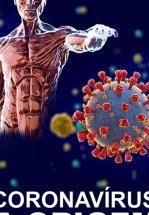 Наперегонки с пандемией