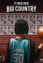 Поиск Большой Страны