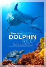 Дельфиний риф