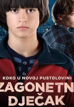 Таинственный мальчик