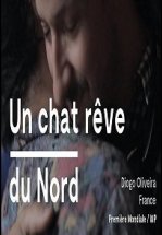 Кот, мечтающий о севере