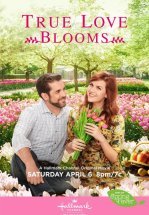 Когда расцветает любовь