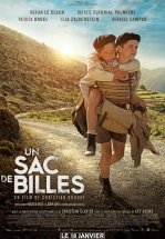 Мешок мрамора