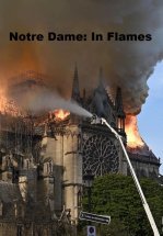 Нотр-Дам в огне