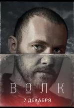 Волк