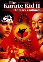 Парень-каратист 2