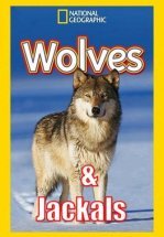 Дикие охотники. Волки и шакалы
