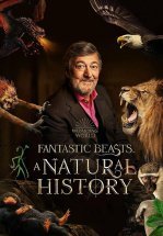 Фантастические твари: Естественная история