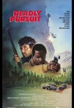 Огонь на поражение