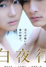 В белой ночи