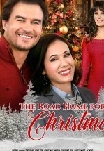 Дорога домой на Рождество