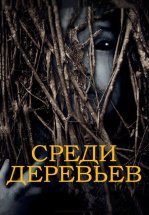 За деревьями