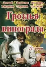 Гроздья винограда