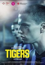 Тигры