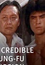 Невероятная миссия Кунг-фу