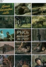 Тропой бескорыстной любви