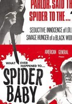 Паучонок, или Безумнейшая история из когда-либо расказанных