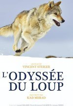 Путешествие волка