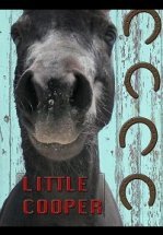 Маленький Купер