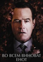 Во всем виноват енот