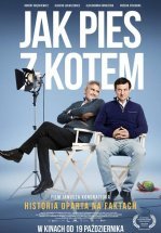 Как кошка с собакой