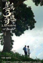 Три приключения Брук