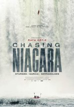 В погоне за Ниагарой