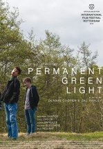 Постоянный зелёный свет