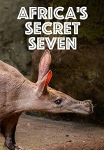 Тайная семерка Африки