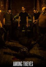 Среди грабителей