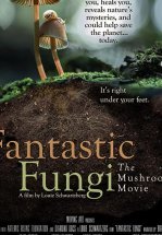 Фантастические грибы