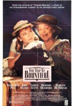 Поездка в Баунтифул