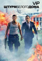 Штурм Белого дома