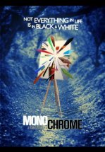 Монохром