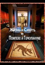 Жизнь и смерть в Помпеях и Геркулануме