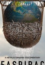 Морской заговор: тайна устойчивого рыболовства