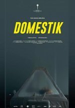 Домашний режим