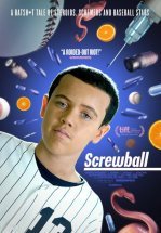 БЕЙСпредел