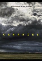 Канарейки
