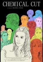 Химический разрез