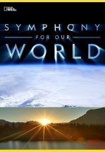 Симфония нашего мира