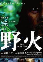 Пожары на равнинах