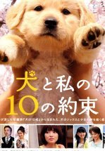 10 обещаний моей собаке